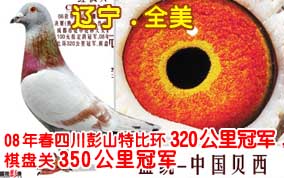 ����.ȫ��-08�괺�Ĵ����̹�350����ھ�