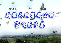 �½��������빫��ҷ�ͼƬ��