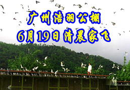 ���ݺ�����6��19���峿�ҷ�ͼƬ