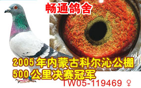 ��ͨ����-05��ƶ��߹���500��������ھ�