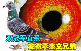 ����������ֵܣ�˫�ھ�ֱϵ
