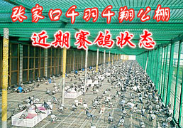 �żҿ�ǧ��ǧ�蹫�����¹���