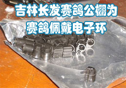 ����ʡ�������빫��Ϊ����������ӻ�