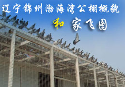 �������ݲ����幫���ò�ͼҷ�
