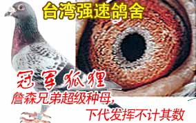 ̨��ǿ�ٸ���-ղɭ�ֵܳ�����ĸ