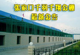 �żҿ�ǧ��ǧ�蹫�����¹���