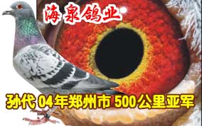 ��Ȫ��ҵ-���04��֣����500�����Ǿ�