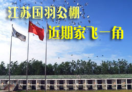 ���չ�������ڼҷ�һ��