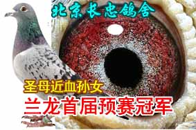 �������Ҹ��ᣭ�����׽�Ԥ���ھ�