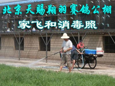��������������빫��ҷɺ�������