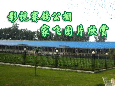 Ӱ�����빫��08��8��5�ռҷ�ͼƬ����