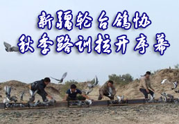 �½���̨��Э�＾·ѵ������Ļ