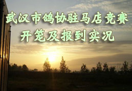 �人�и�Эפ���꾺������������ʵ��