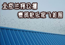 �������蹫��8��20�տ��ּҷ�