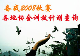��ս2008���� ����Э��ѵ�żƻ���ѯ(������)
