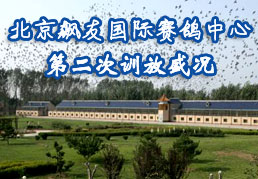 ������ѹ����������ĵڶ���ѵ��ʢ��