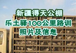 �½����칫��������100����·ѵ��Ƭ����Ϣ