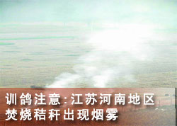 ѵ��ע�⣺���պ��ϲ��ֵ������սոѳ�������