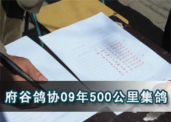 �������ȸ�Э09��500�����������(ͼ)