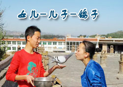 ������Ѹ���(ͼ)