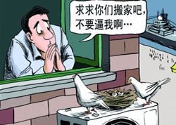 ��ռ�յ����ϡ���ҡ�