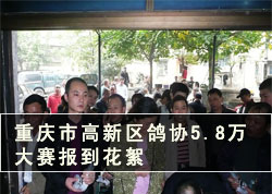 �����������Э5.8���������