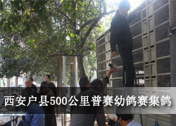 ��������500���������׸�������(ͼ)