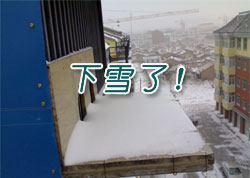 ������ѩ��