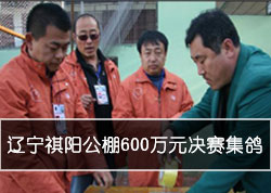 ������������600��Ԫ��������(ͼ)