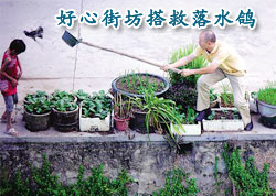 ���Ľַ������ˮ��