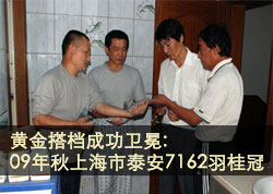 �ƽ������Ϻ�̩��7162����