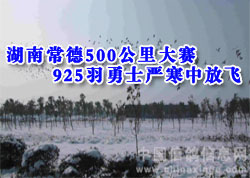 ���ϳ���500��������Ϻ��п���(ͼ)