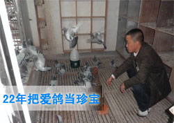 ��22��Ѱ��뵱�䱦(ͼ)