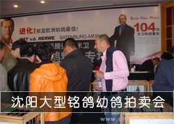 �������������׸�������