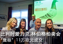 ŷ�ޡ�ӥ�ۡ��ĳ�11��ŷԪ