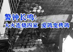 ��������ļ� ����䡰���롱