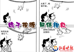 ���ӱ�����ͬ�����