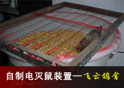 ���Ƶ�����װ��(ͼ)