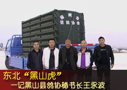 ��������ɽ����(ͼ)