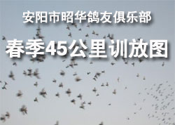�������ѻ����Ѿ��ֲ�����45����ѵ��ͼ