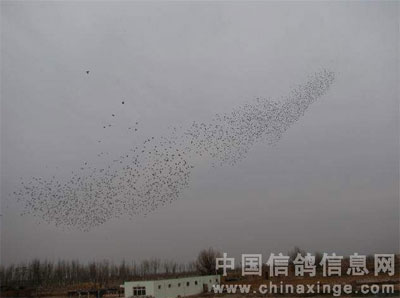 ����˳���蹫��3��10����ҷ�ͼ