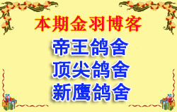 ���ڽ��𲩿�