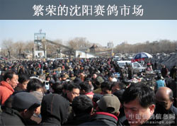 ���ٵ����������г�