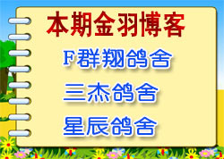 ���ڽ��𲩿�