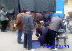 09�꿪��֮ս(����ƪ)