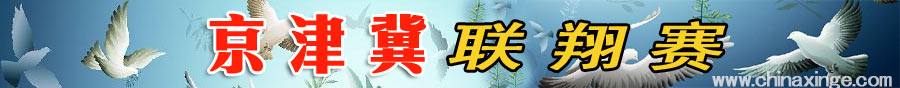 京津冀联翔赛