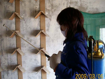 �½��챦����2009�꼯��ǰ׼������