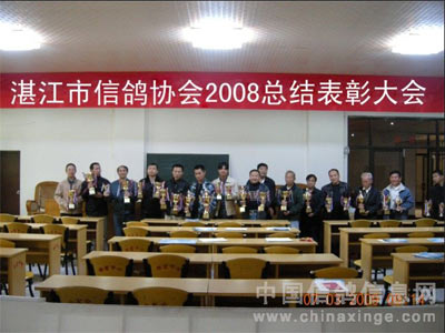 տ�����Ÿ�Э��2008���ܽ���ô��