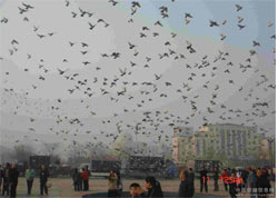 ����ʮ�����������ױڷŷ�