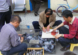 ƽ��ɽ������֮�ҡ���վ�������Ҽ���